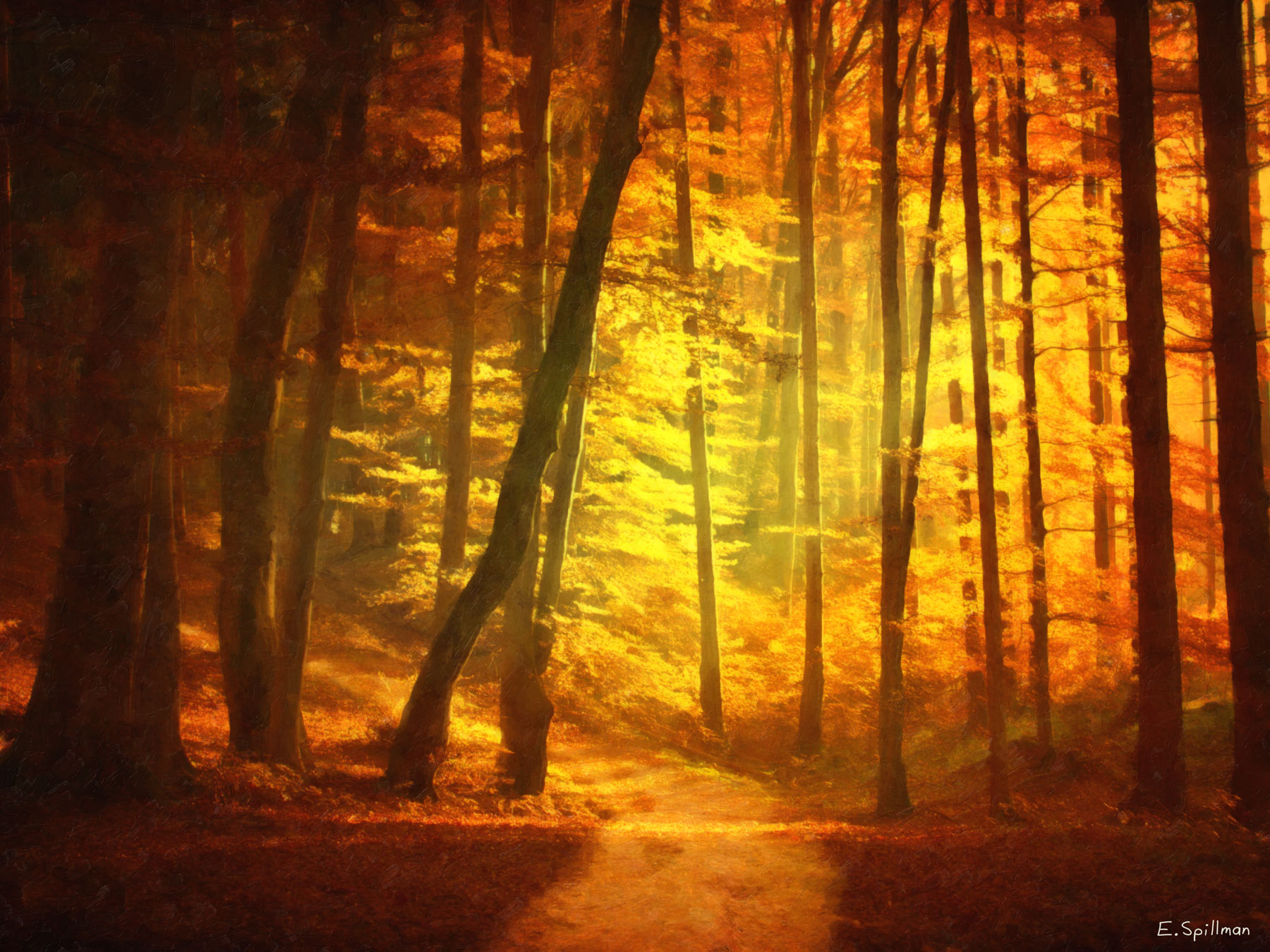 Autumn's Fire by E. C. Spillman